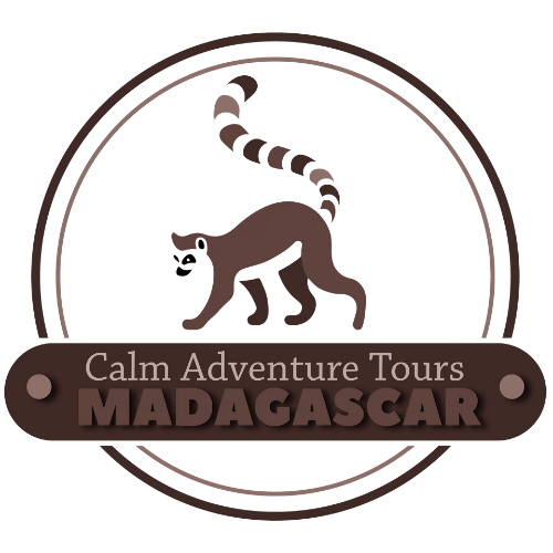 CALM Adventure Tours